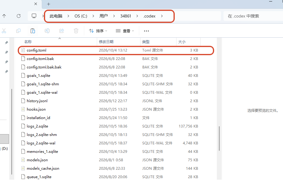 Codex 配置文件位置